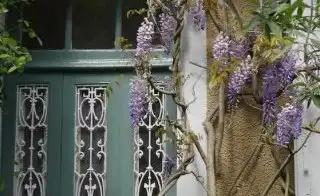 Maison de maître à vendre dans l'Yonne : charme, jardin et potentiel