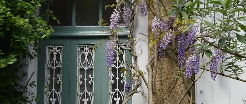 Maison de maître à vendre dans l'Yonne : charme, jardin et potentiel