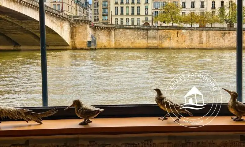 Maison flottante à vendre à Paris 5 - Terrasse et vue sur l'Île Saint Louis
